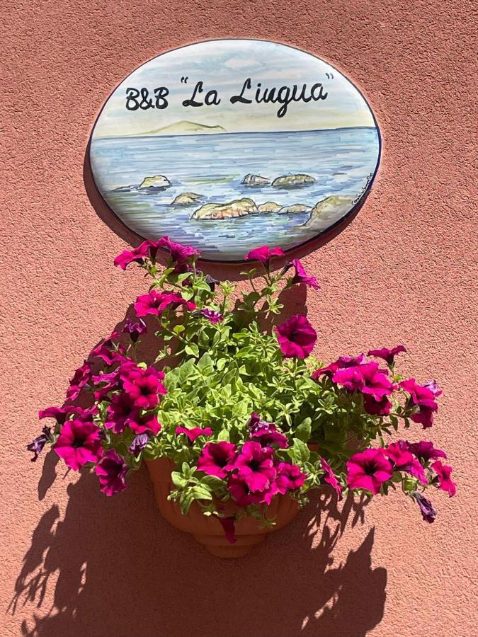 B&B La Lingua Procida Exteriér fotografie